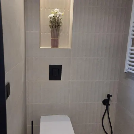 Apartment Campanas De La Catedral Jacuzzi Burgos